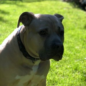 Meet your Posher, Andreas